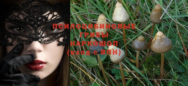 прущие крисы Новодвинск
