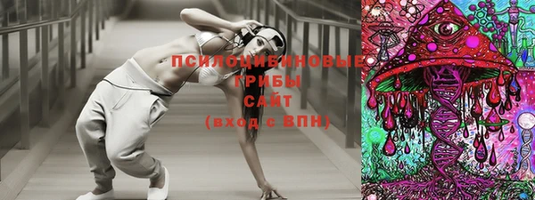 прущие крисы Новодвинск